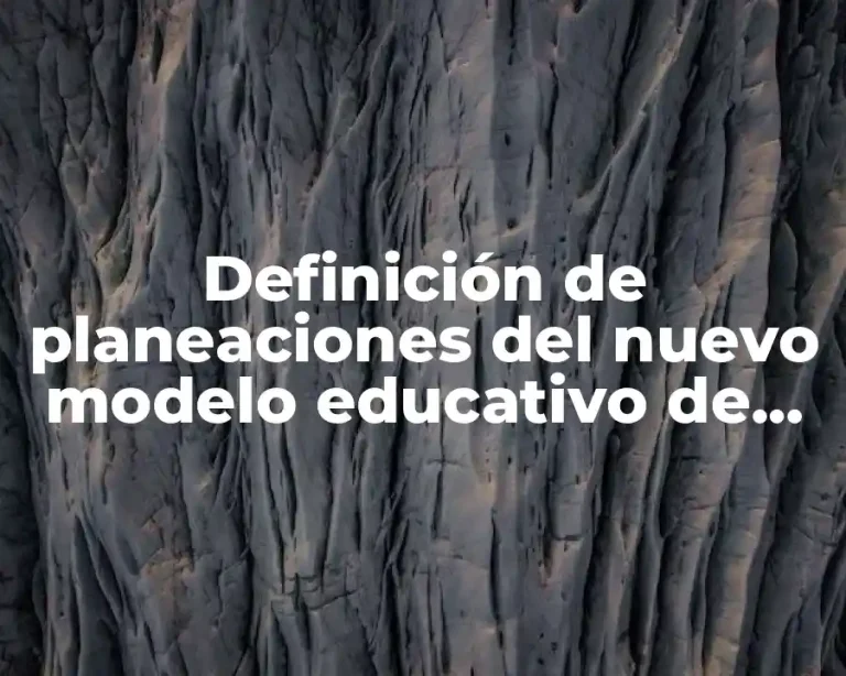 Definición de planeaciones del nuevo modelo educativo de quinto grado