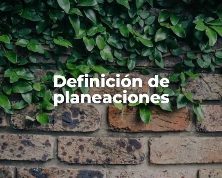 Definición de planeaciones