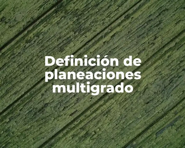 Definición de planeaciones multigrado
