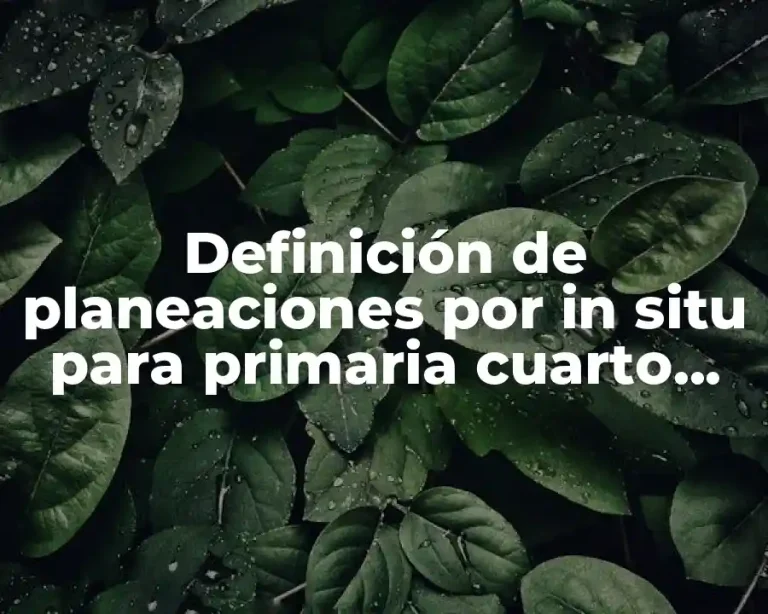 Definición de planeaciones por in situ para primaria cuarto grado