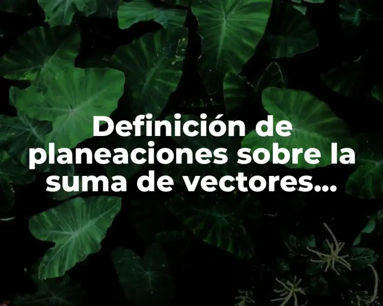 Definición de planeaciones sobre la suma de vectores secundaria