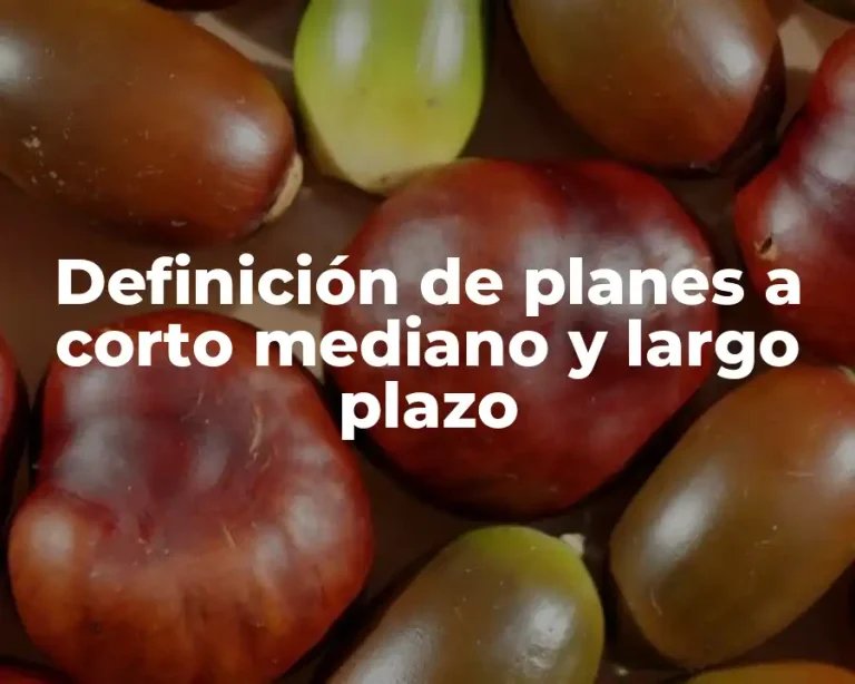 Definición de planes a corto mediano y largo plazo