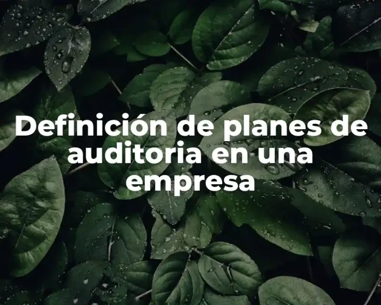 Definición de planes de auditoria en una empresa