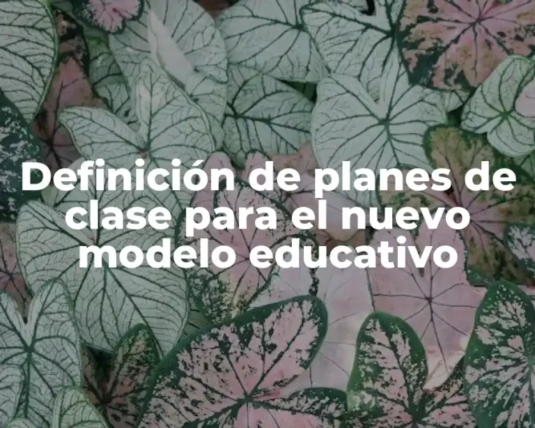 Definición de planes de clase para el nuevo modelo educativo
