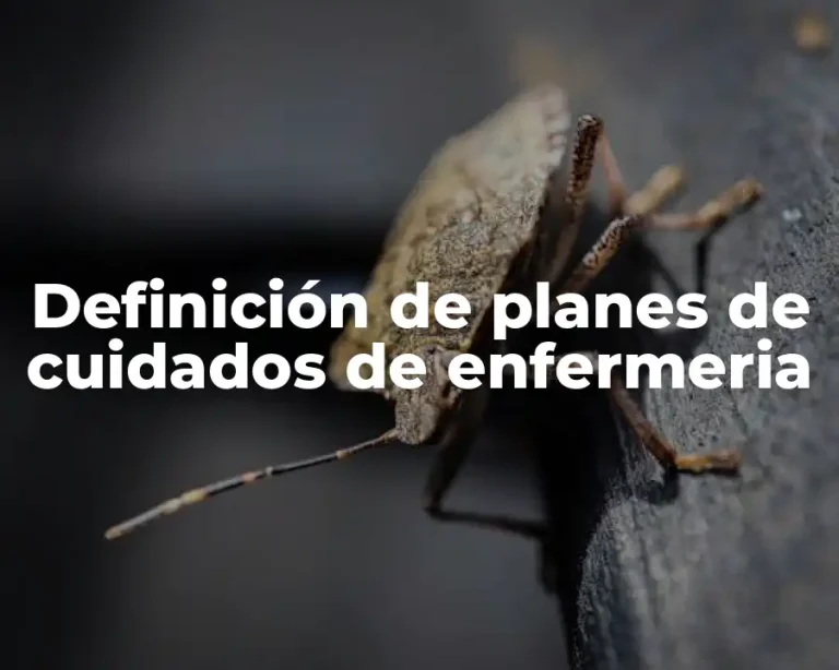 Definición de planes de cuidados de enfermeria