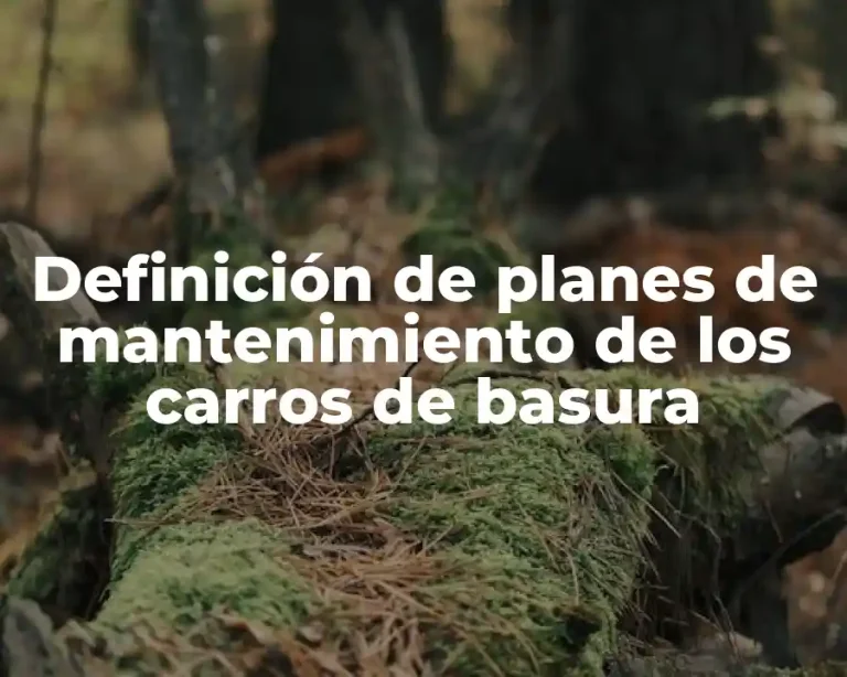 Definición de planes de mantenimiento de los carros de basura
