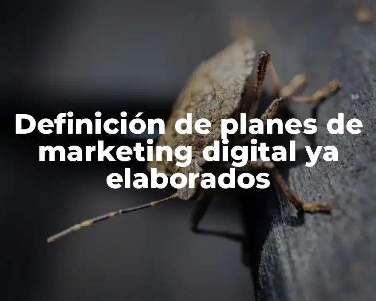 Definición de planes de marketing digital ya elaborados