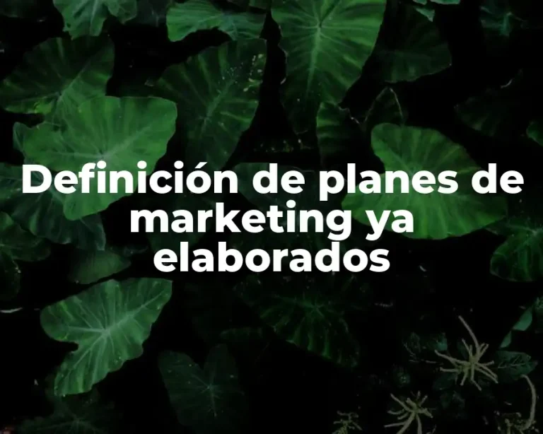 Definición de planes de marketing ya elaborados