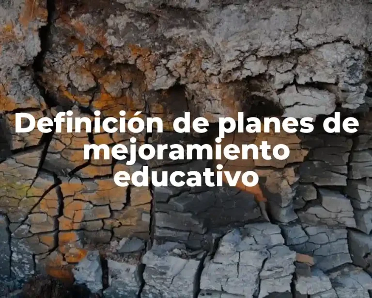Definición de planes de mejoramiento educativo