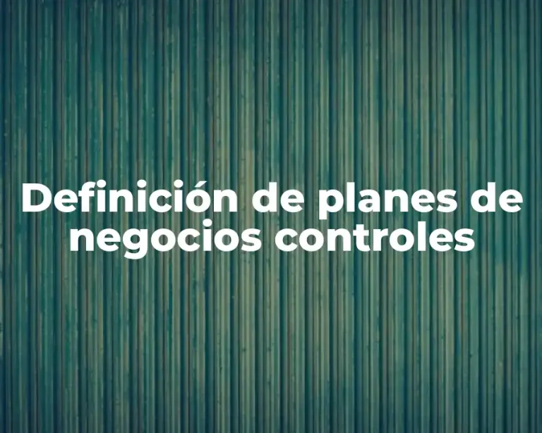 Definición de planes de negocios controles