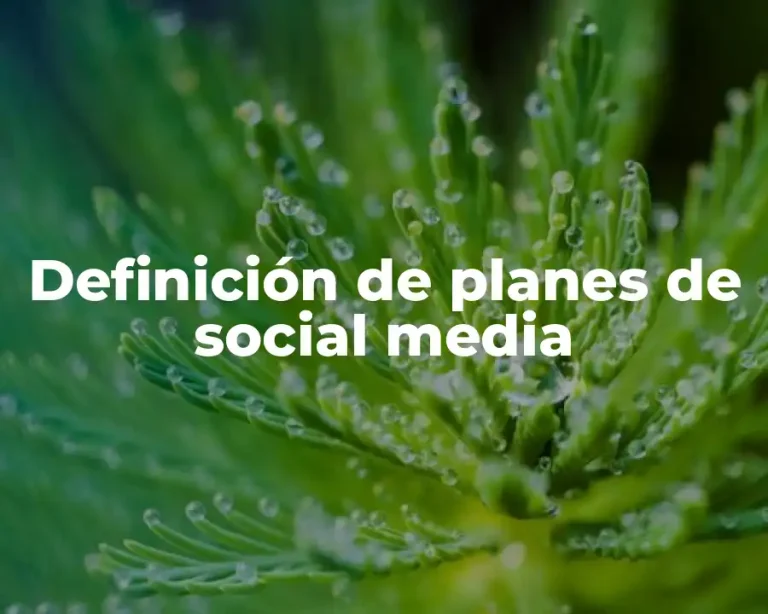 Definición de planes de social media