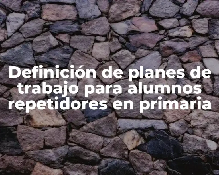 Definición de planes de trabajo para alumnos repetidores en primaria