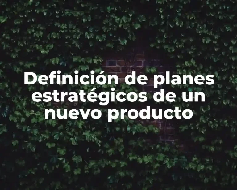 Definición de planes estratégicos de un nuevo producto