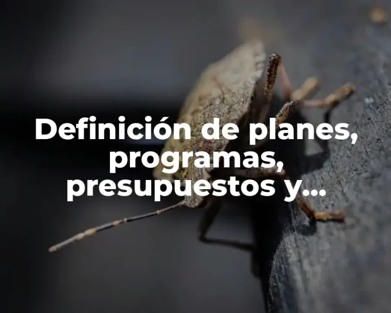 Definición de planes, programas, presupuestos y pronóstico
