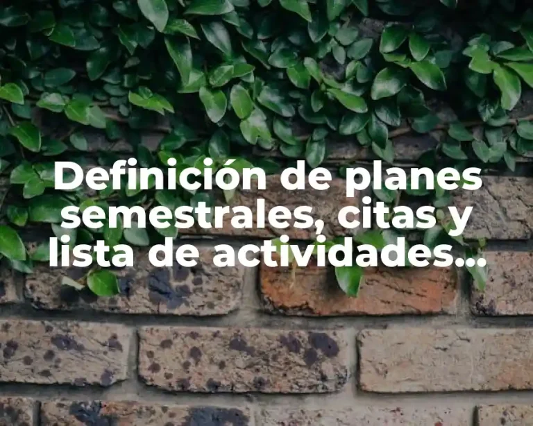 Definición de planes semestrales, citas y lista de actividades planeadas.