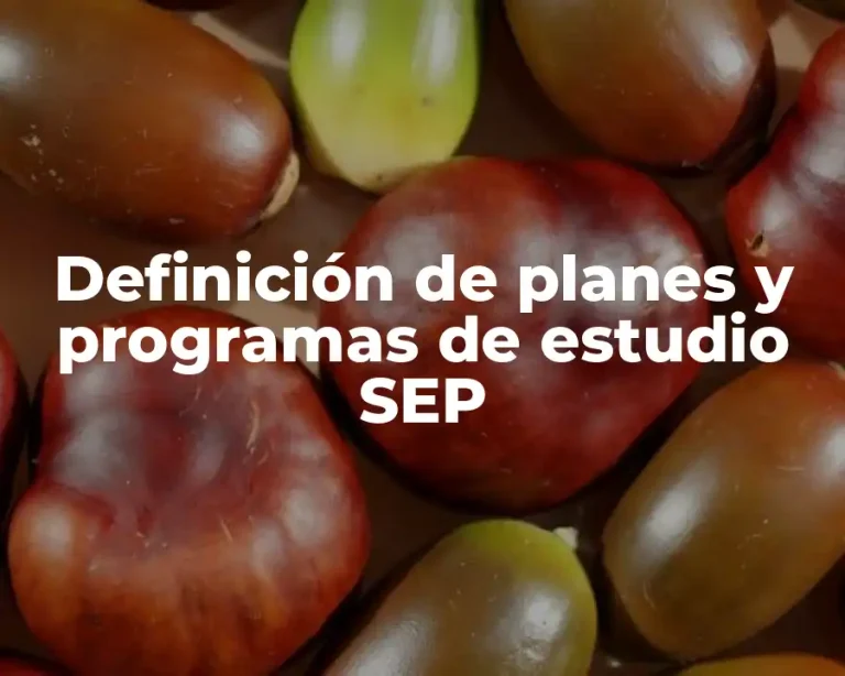 Definición de planes y programas de estudio SEP