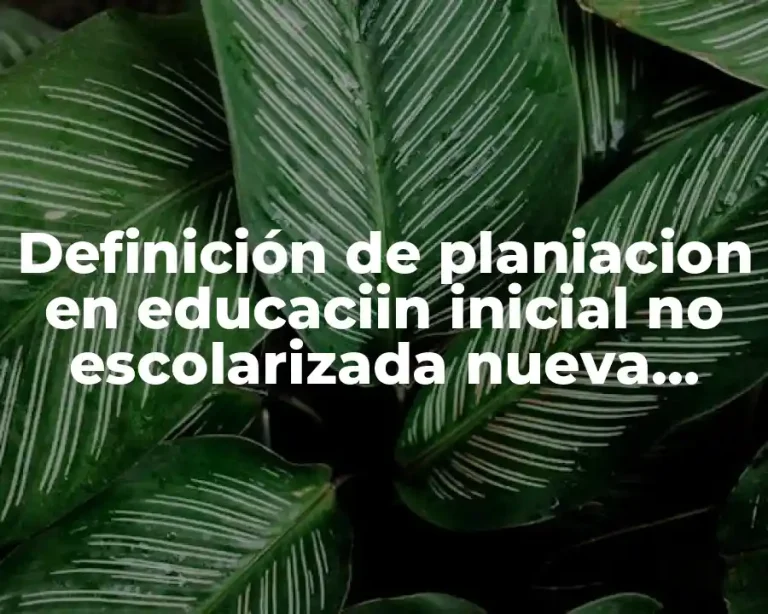 Definición de planiacion en educaciin inicial no escolarizada nueva metodologia