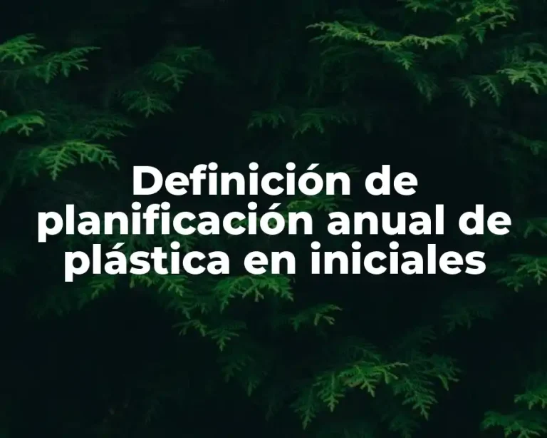 Definición de planificación anual de plástica en iniciales