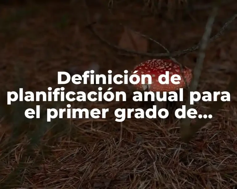 Definición de planificación anual para el primer grado de primaria