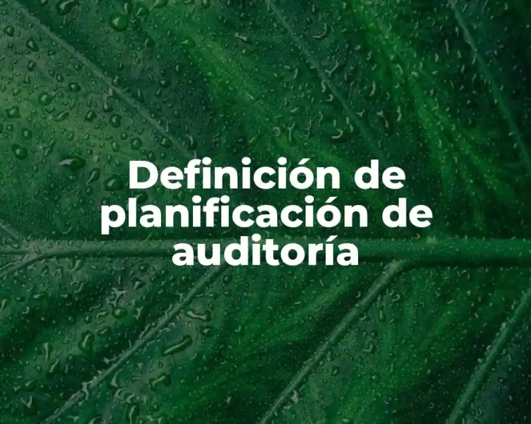 Definición de planificación de auditoría