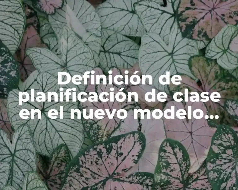 Definición de planificación de clase en el nuevo modelo educativo