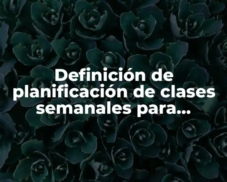 Definición de planificación de clases semanales para séptimo año