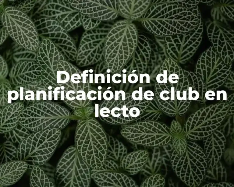 Definición de planificación de club en lecto