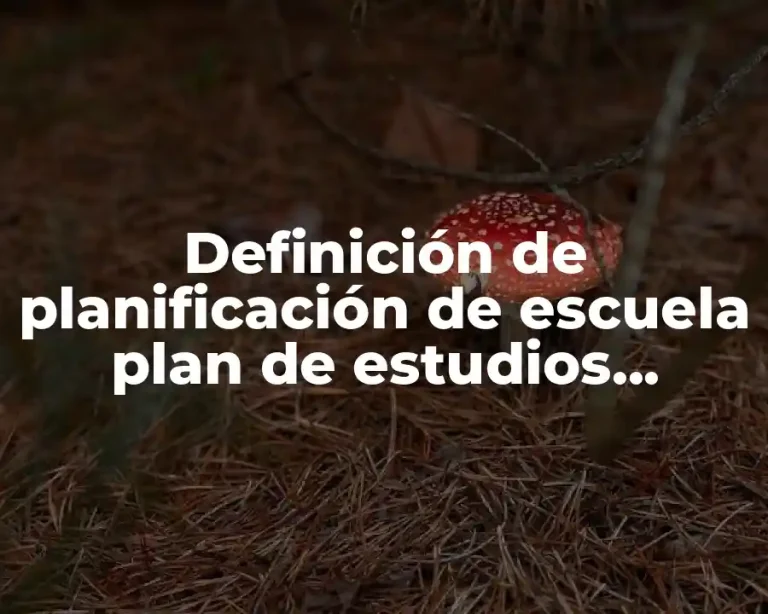 Definición de planificación de escuela plan de estudios módulos