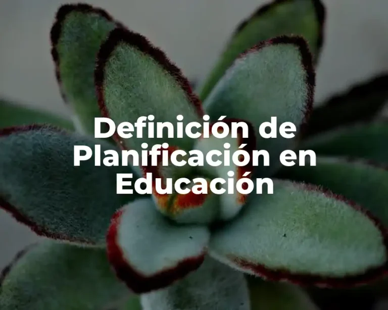 Definición de Planificación en Educación