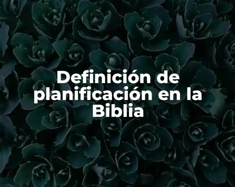 Definición de planificación en la Biblia