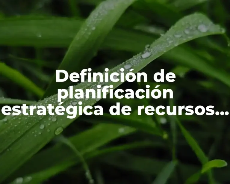 Definición de planificación estratégica de recursos humanos de una empresa