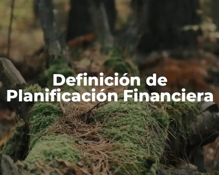Definición de Planificación Financiera