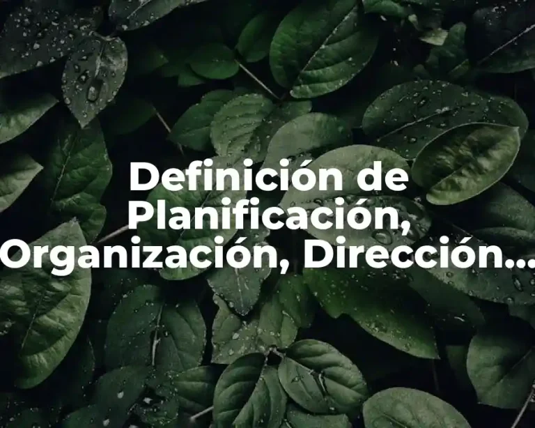 Definición de Planificación, Organización, Dirección y Control