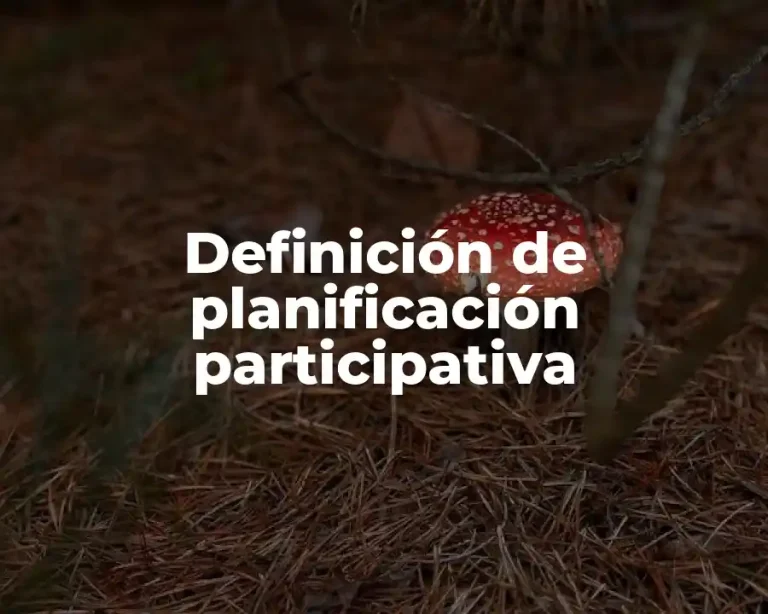 Definición de planificación participativa