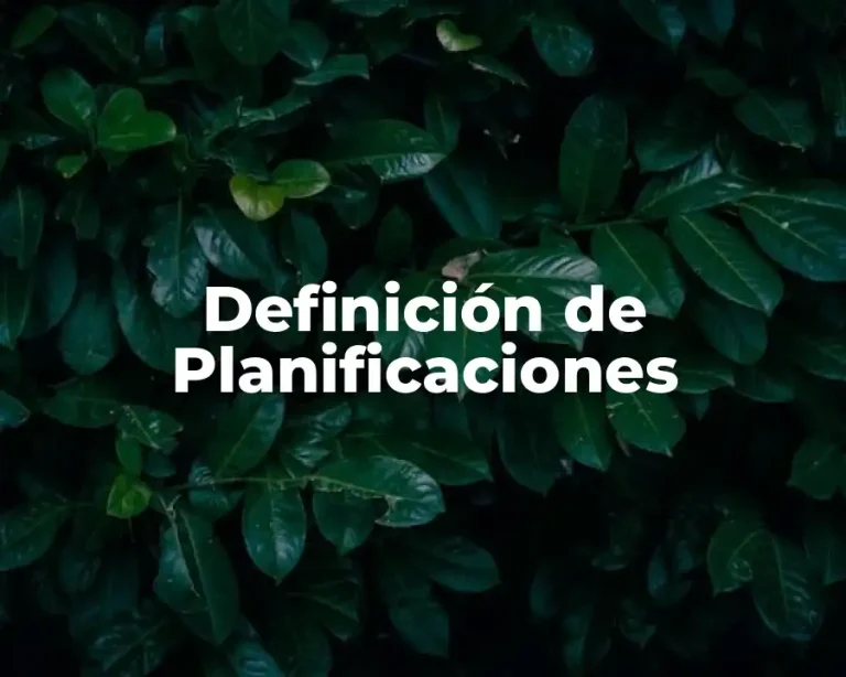 Definición de Planificaciones