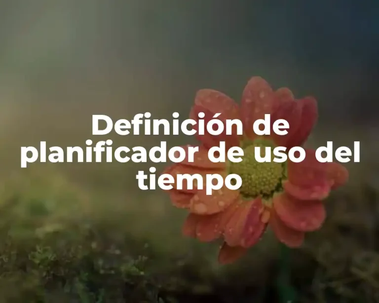 Definición de planificador de uso del tiempo