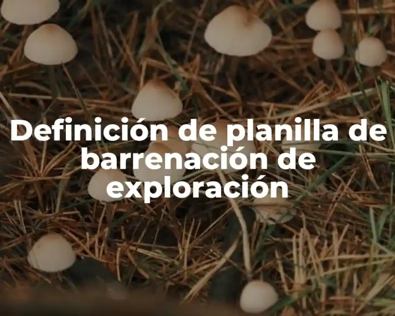 Definición de planilla de barrenación de exploración