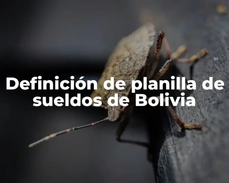 Definición de planilla de sueldos de Bolivia