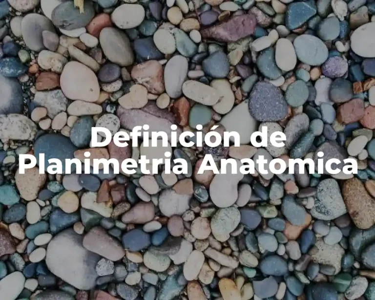 Definición de Planimetria Anatomica