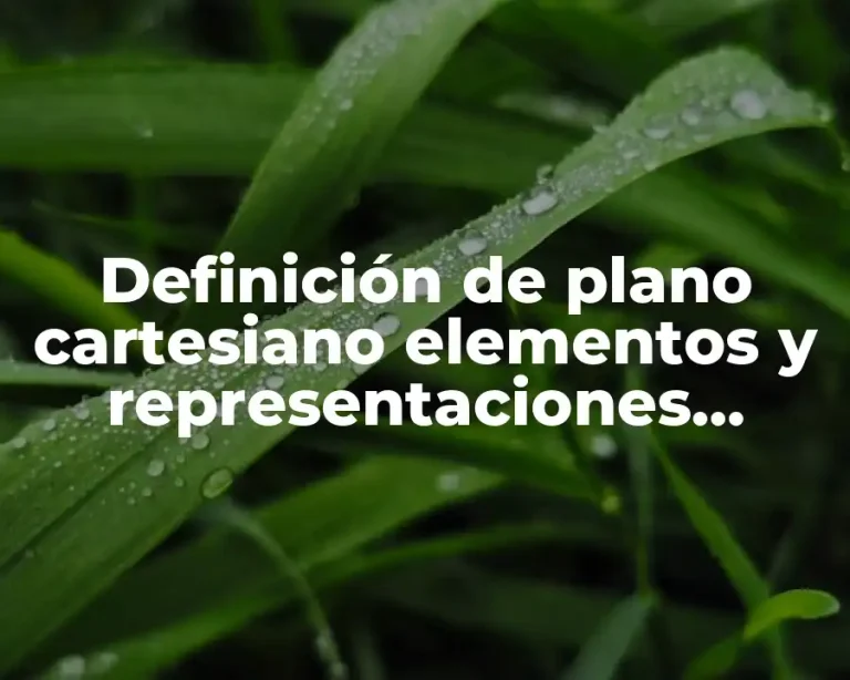 Definición de plano cartesiano elementos y representaciones gráficas