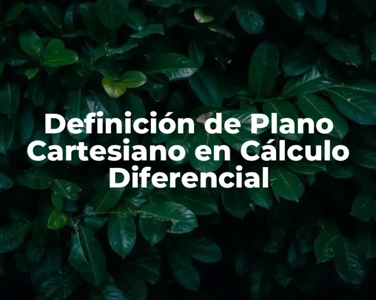 Definición de Plano Cartesiano en Cálculo Diferencial