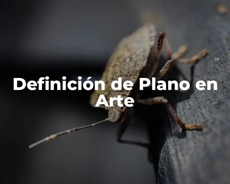 Definición de Plano en Arte