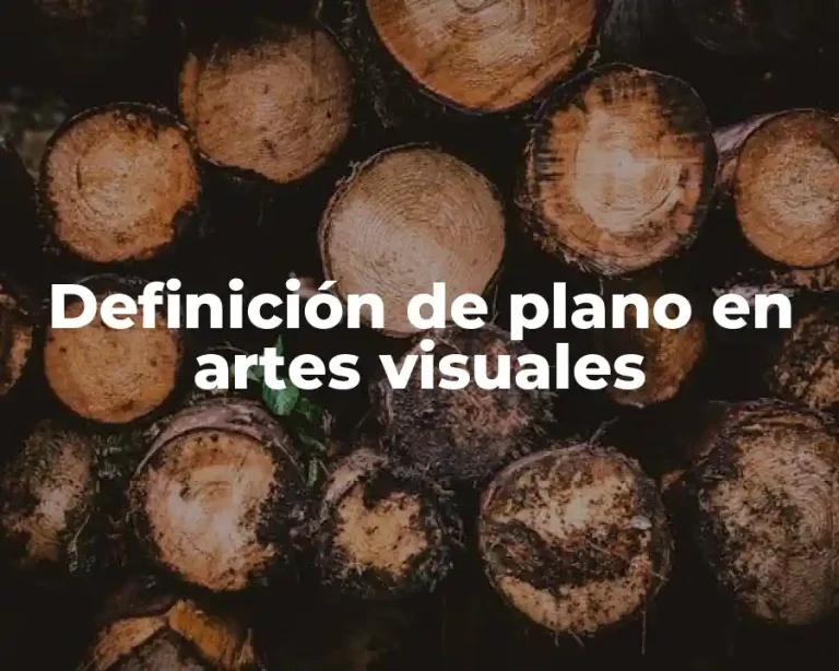 Definición de plano en artes visuales