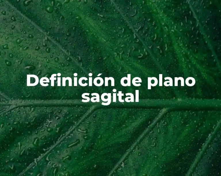 Definición de plano sagital