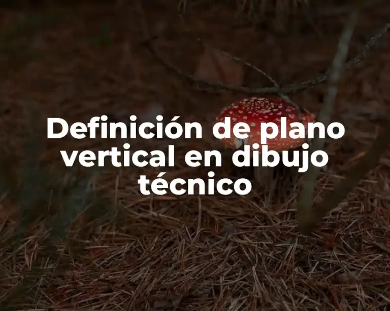 Definición de plano vertical en dibujo técnico