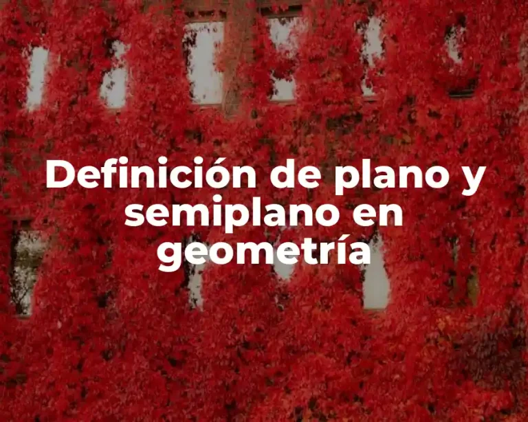 Definición de plano y semiplano en geometría