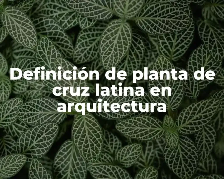 Definición de planta de cruz latina en arquitectura