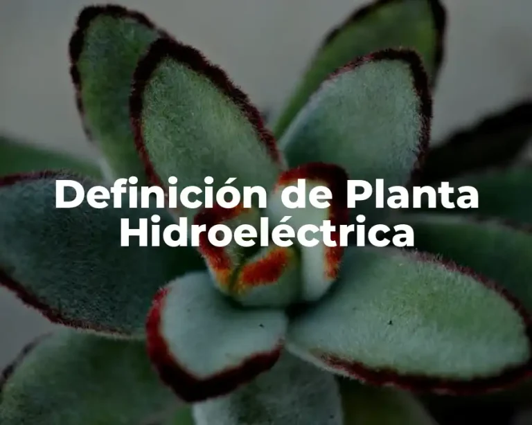 Definición de Planta Hidroeléctrica