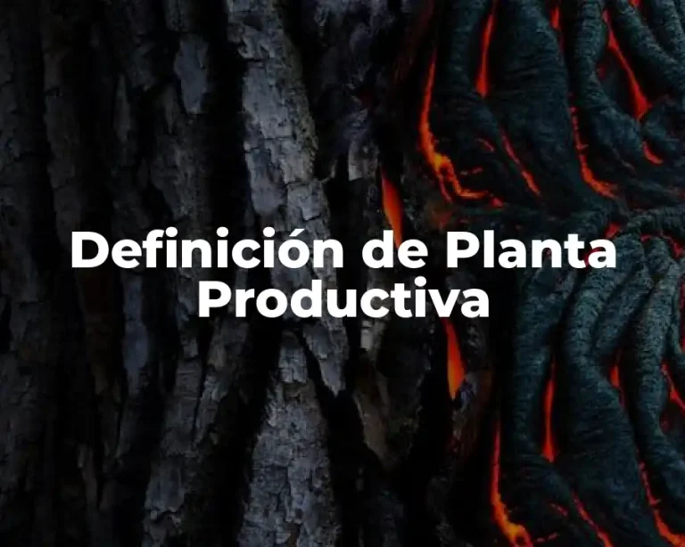 Definición de Planta Productiva