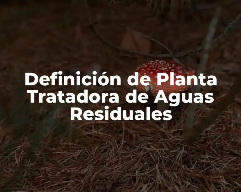 Definición de Planta Tratadora de Aguas Residuales
